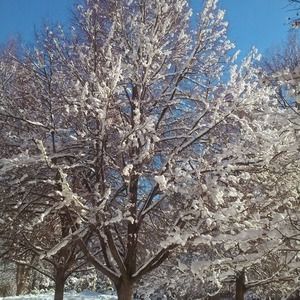 Meet your Posher, Alejandro